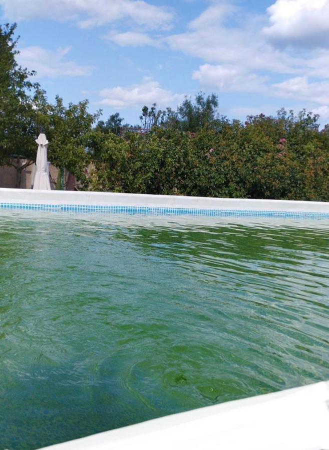Baza Otdyha Primor'E Otel Primorskoye Dış mekan fotoğraf