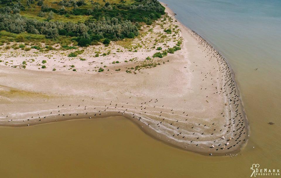 Baza Otdyha Primor'E Otel Primorskoye Dış mekan fotoğraf